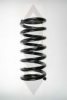 SPIDAN 85530 Coil Spring